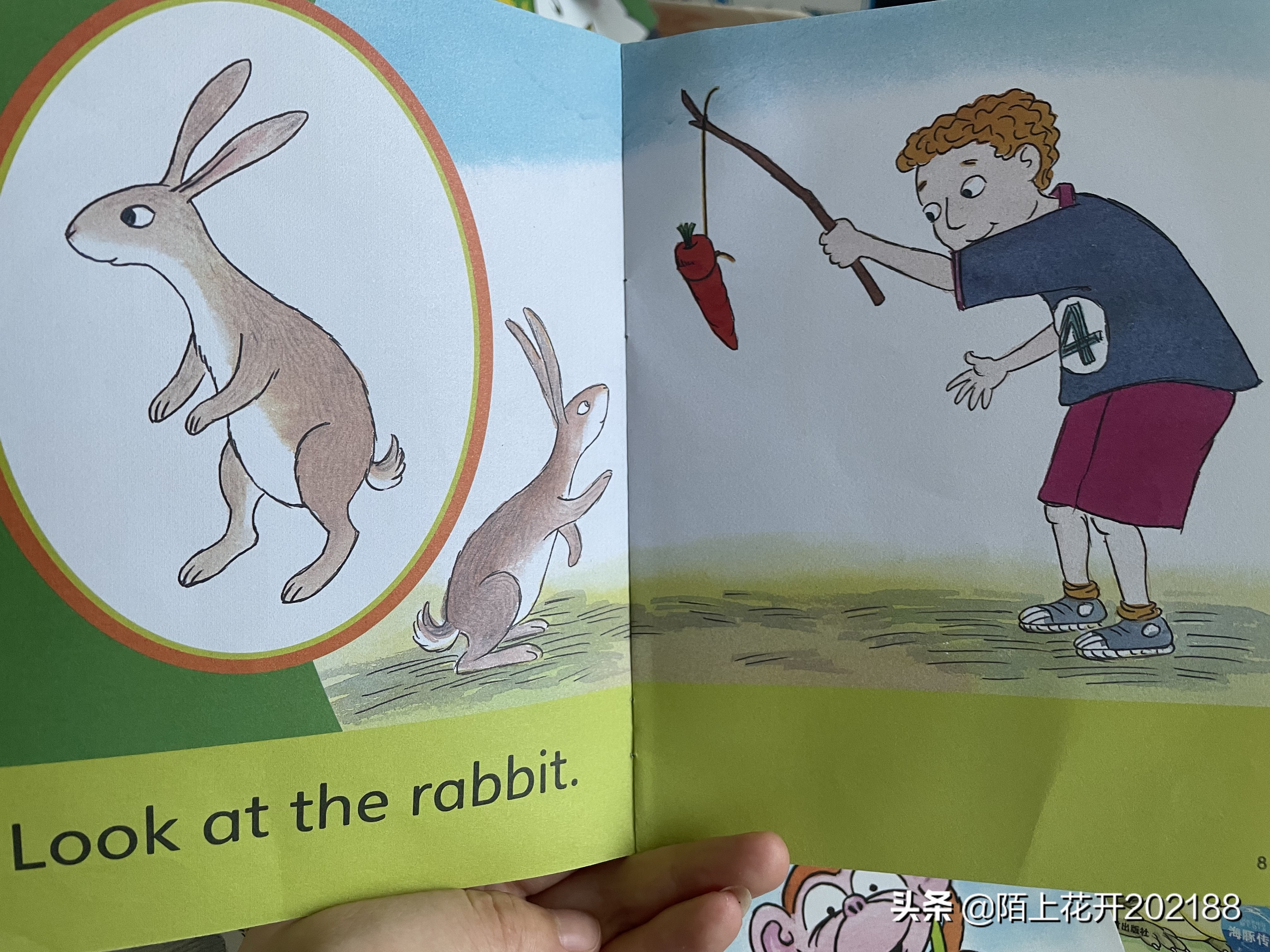 幼儿英语启蒙学习单词绘本,英语启蒙绘本4-6岁