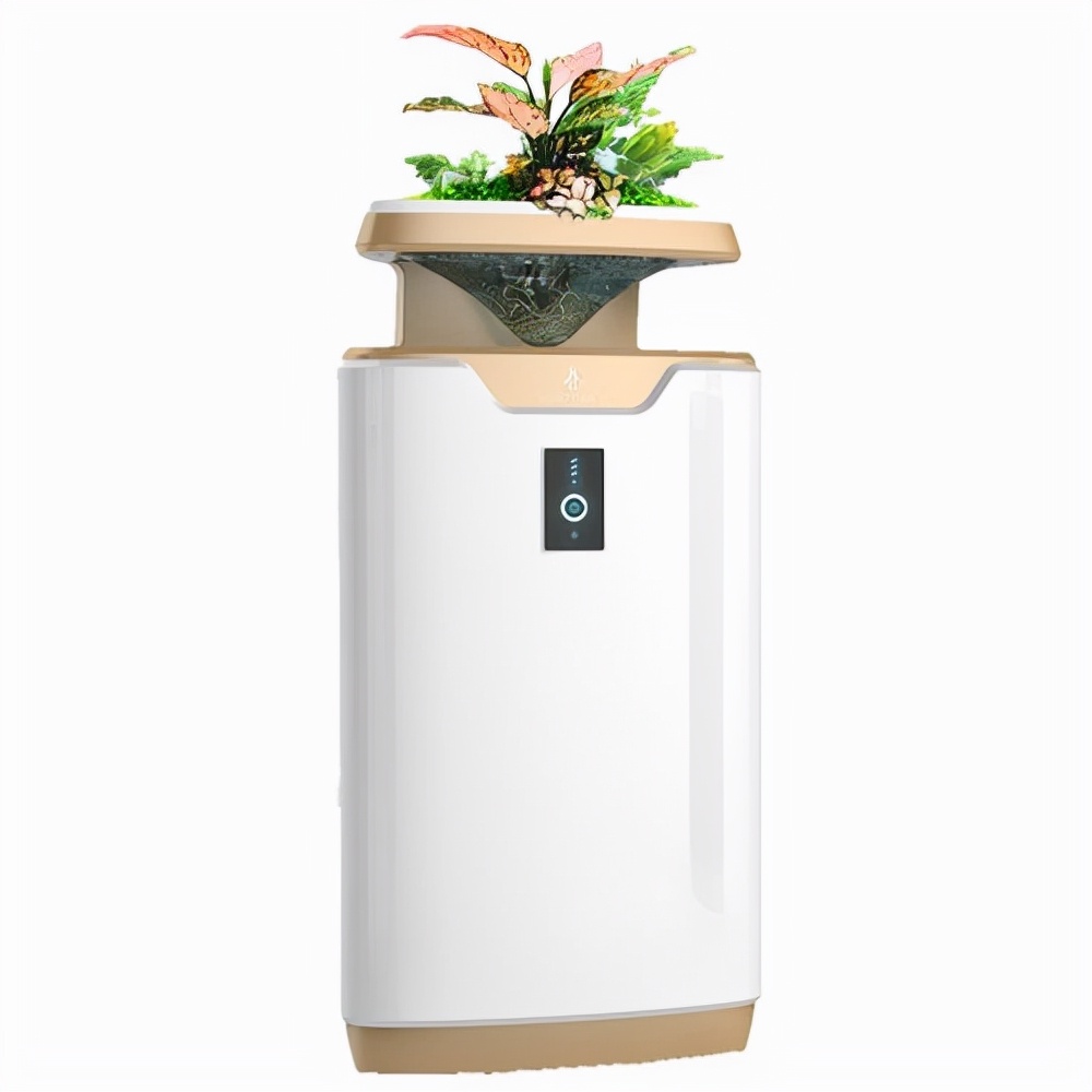 新装房子怎样才能快速除甲醛,新装的房子如何除甲醛最快最有效