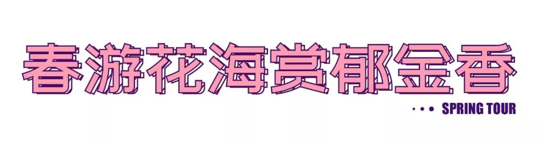 三月踏青去哪里,三月春游一日游攻略