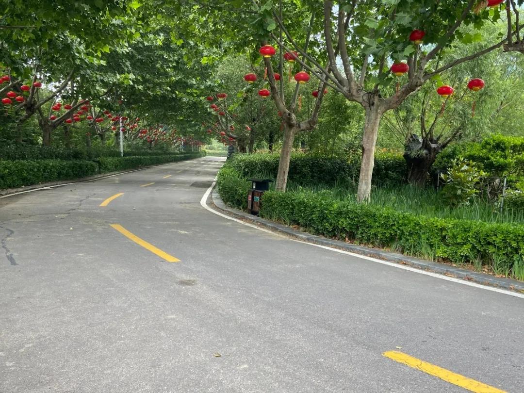 临沂兰山学校招工5小时双休,临沂哪个学校招聘信息最全