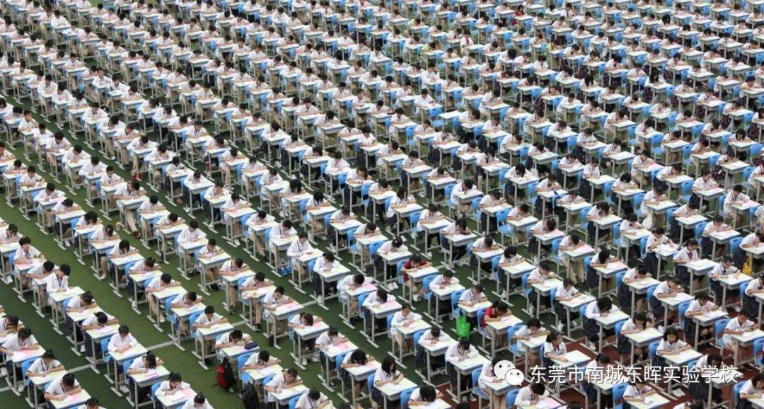 东莞南城东晖实验学校初中公费生,东莞市南城东晖实验学校