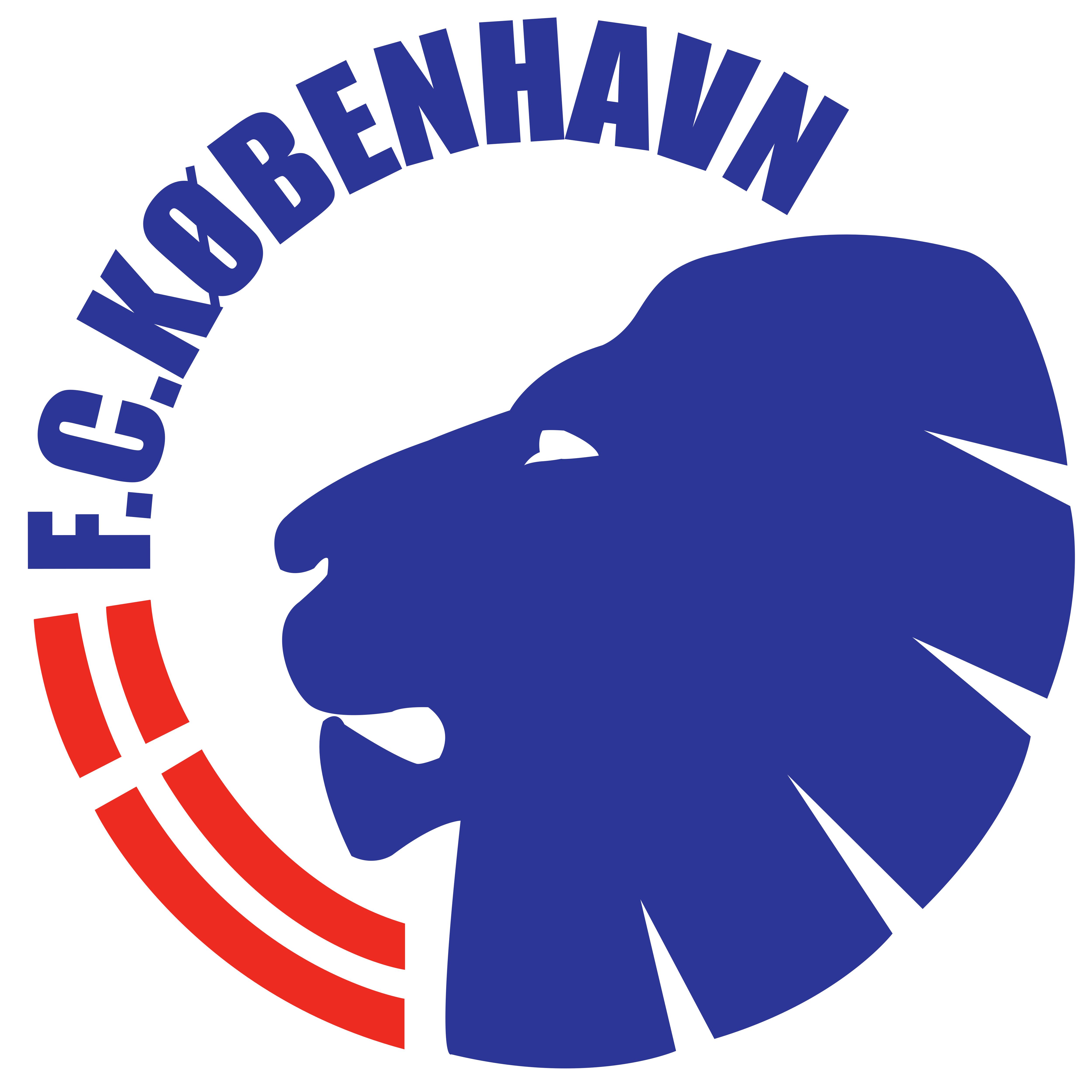 丹麦超级联赛积分榜2024赛季,丹麦国家足球队徽图片