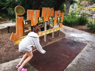 长隆旅游细节分析,长隆有必要四个乐园都玩吗