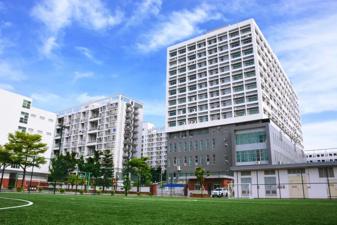 PK海内外学霸，狂揽藤校！看完这群深圳娃的日常，终于知道差哪了