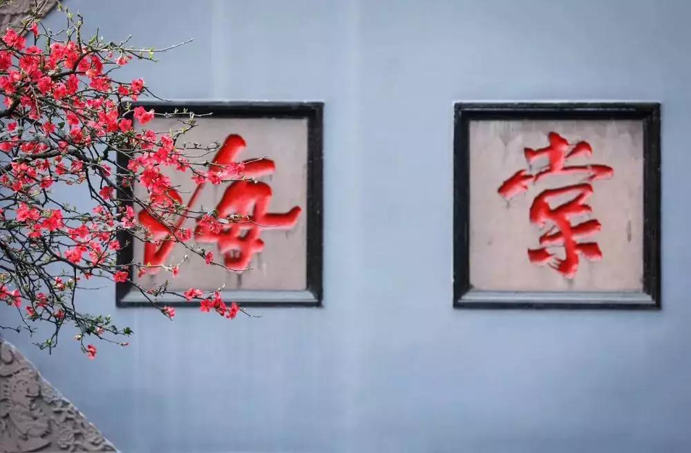 巴适自驾旅游攻略,巴适小众公园