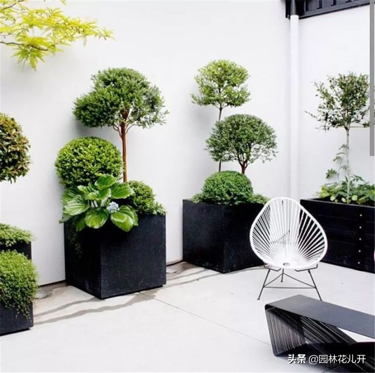 阳台花箱景观设计,景观花架花箱设计