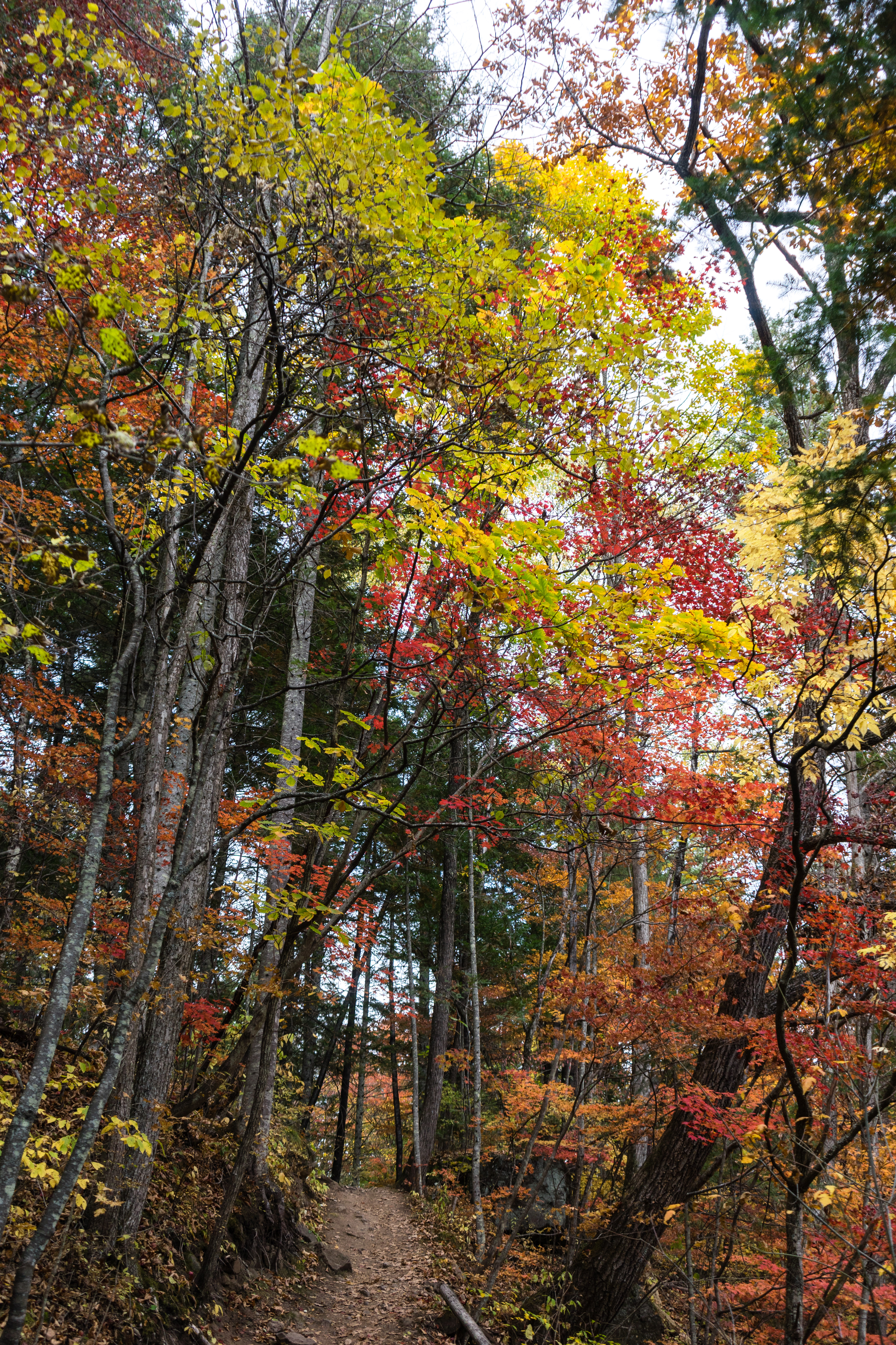 中朝边境自驾游视频,331国道自驾中朝攻略