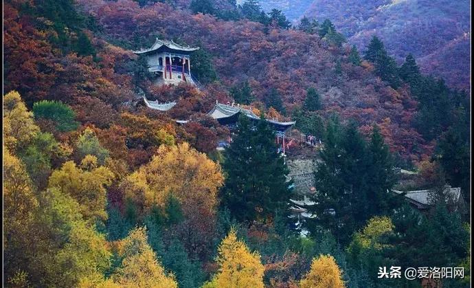 洛阳出发5天旅游攻略,10天旅游最佳路线图从洛阳出发