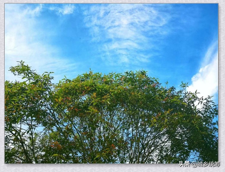 江津区中山镇石天井兄弟农家乐休闲避暑好去处