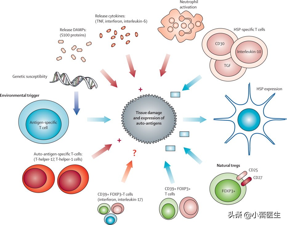 儿童关节炎和生长疼痛的区别,儿童关节痛就一定是风湿病吗