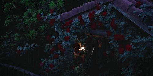 越极简越接近自然,越极简越幸福越简单