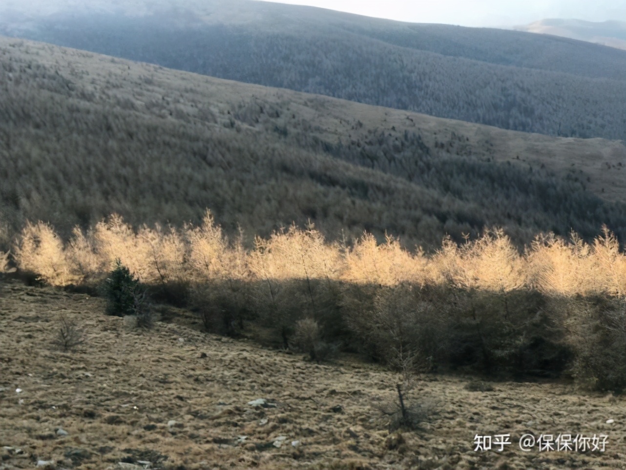 为啥选择做明亚保险经纪人,明亚保险经纪人如何收费
