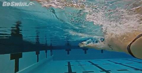 仰泳划手8个动作,仰泳划水大拇指先出水小拇指出水