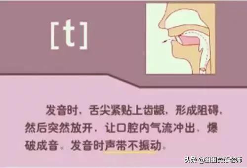 基础英语48个国际音标详解，赶紧来学习！
