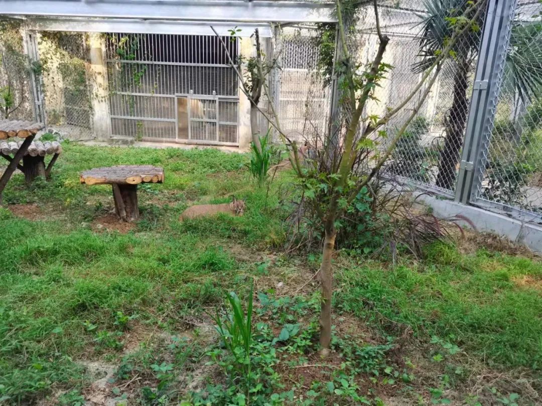 合肥首家室内动物园在哪,合肥新桥动物园