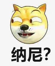 狗狗拉大便怎么判断,狗狗拉便便要怎么发现