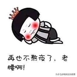 超详细的腰痛康复方案——腰痛自我评估、手法理疗和康复训练全解