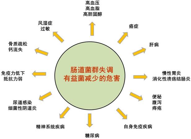 比较火的益生菌,益生菌为什么突然火了