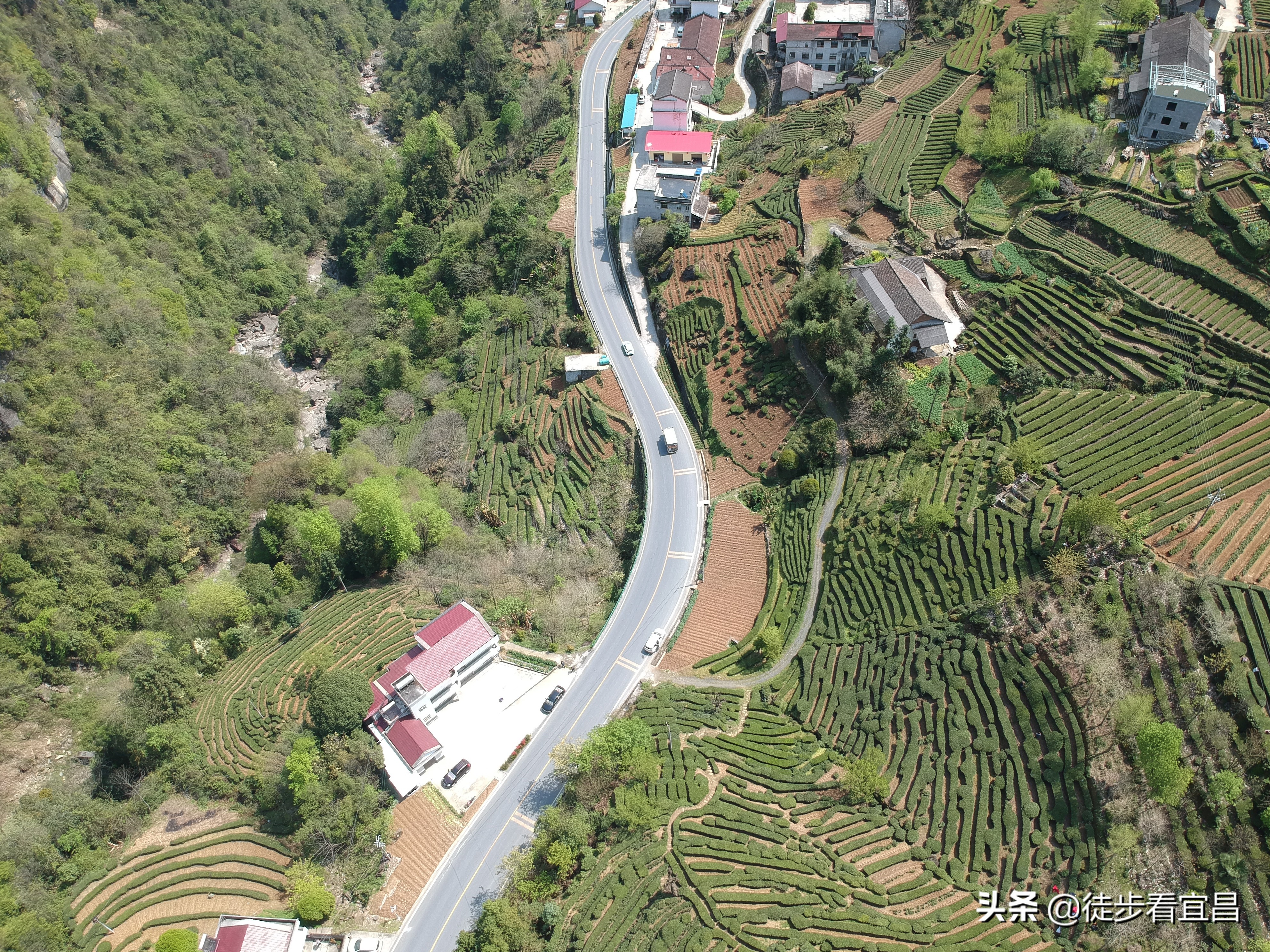 宜昌五峰风景真实照片,五峰茶山航拍