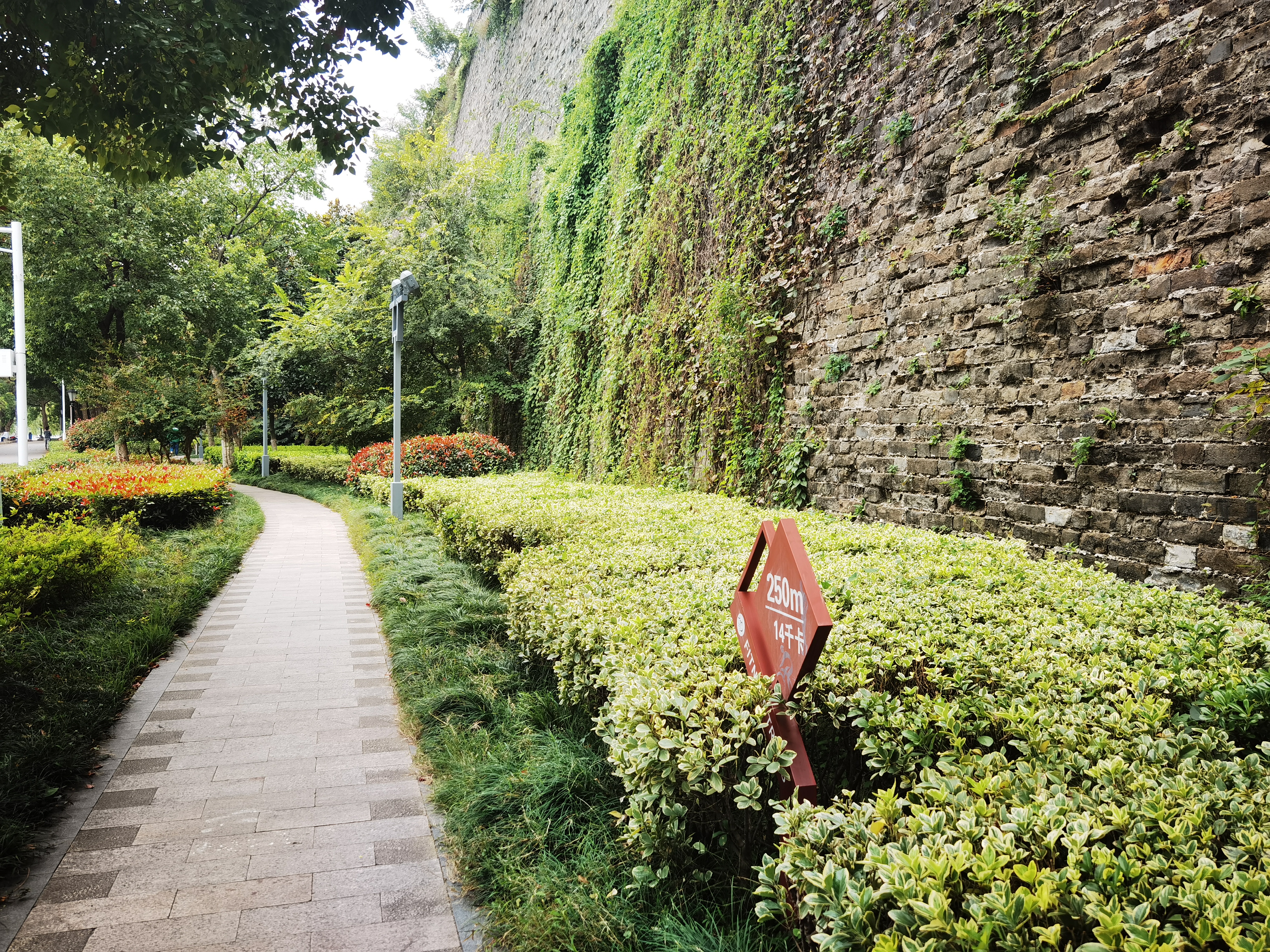 爱运动的小伙伴,爱运动的人看过来