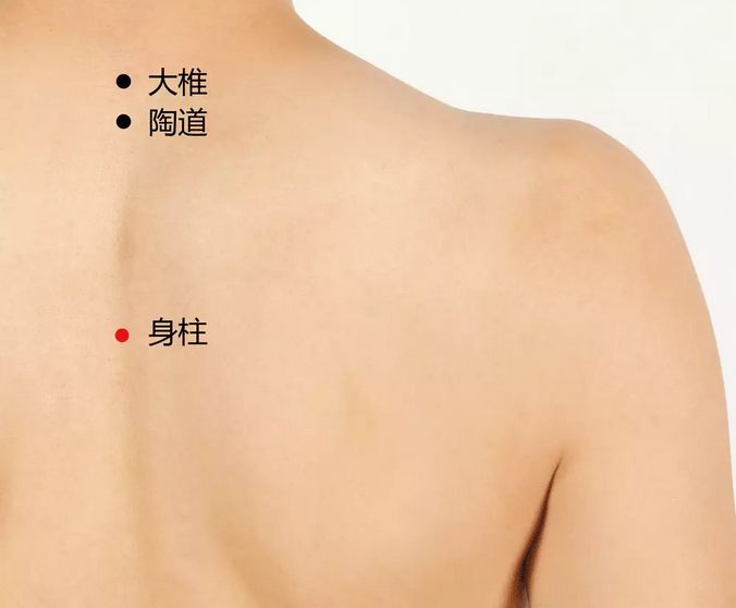 寒虚有湿艾灸穴位,补充阳气的艾灸穴位视频