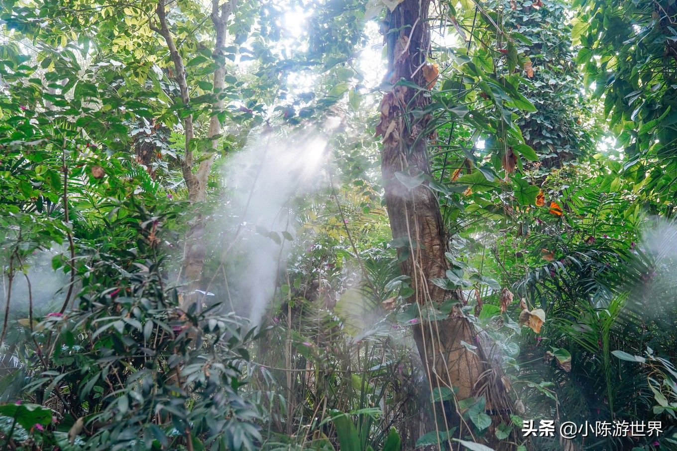 寒假广州长隆三天两夜亲子游攻略,带孩子广州长隆旅游攻略