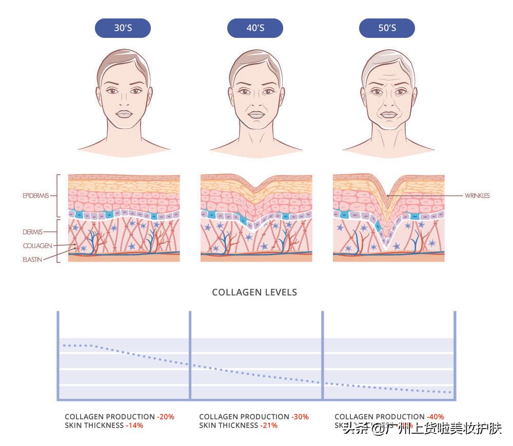 补充胶原蛋白真的能被皮肤吸收吗,你知道胶原蛋白对皮肤的作用吗