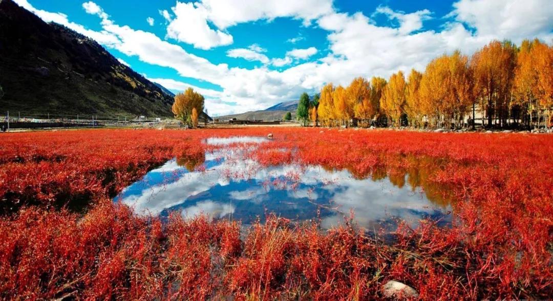 国庆旅游稻城亚丁自驾游最佳路线,国庆川西稻城亚丁风景区一日游