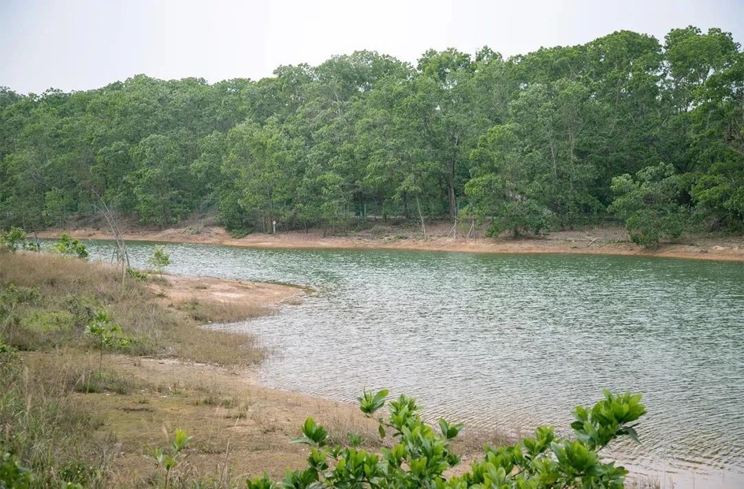 2021深圳免费适合遛娃玩地方排名,深圳免费游玩景点推荐