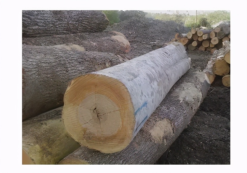 榉木是性价比最高的实木,榉木家具十大知名品牌排名