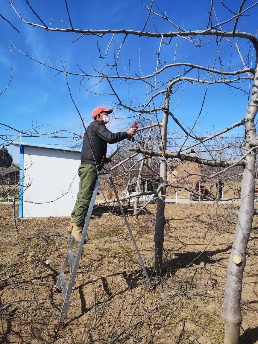 平凉泾川疫情防控政策最新,平凉疫情防控措施表格图