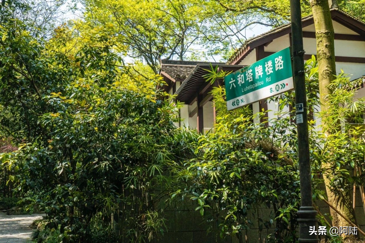 杭州虎跑泉水,杭州虎跑泉旅游攻略