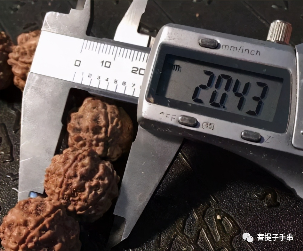 金刚菩提和凤眼菩提手串哪个好,凤眼菩提和金刚菩提有什么区别呢