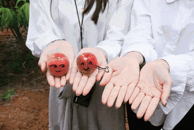 小苏打食用碱和泡打粉有什么区别,食用碱和小苏打和酵母的区别
