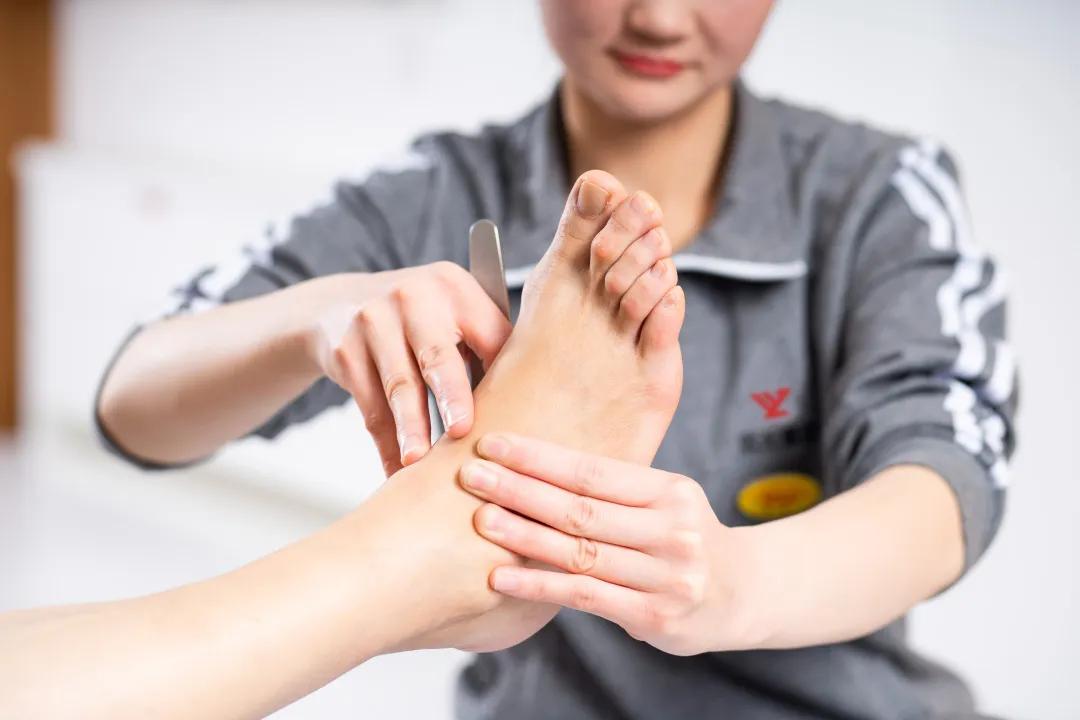 郑远元集团全国目前有多少连锁店,郑远元每年开多少家店