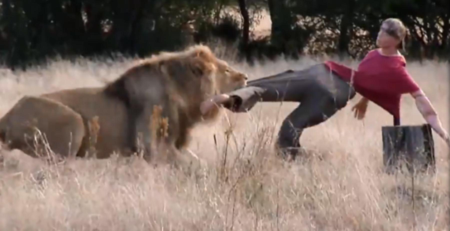 两个外国人吃狮子,两个外国人挑战被各种生物咬