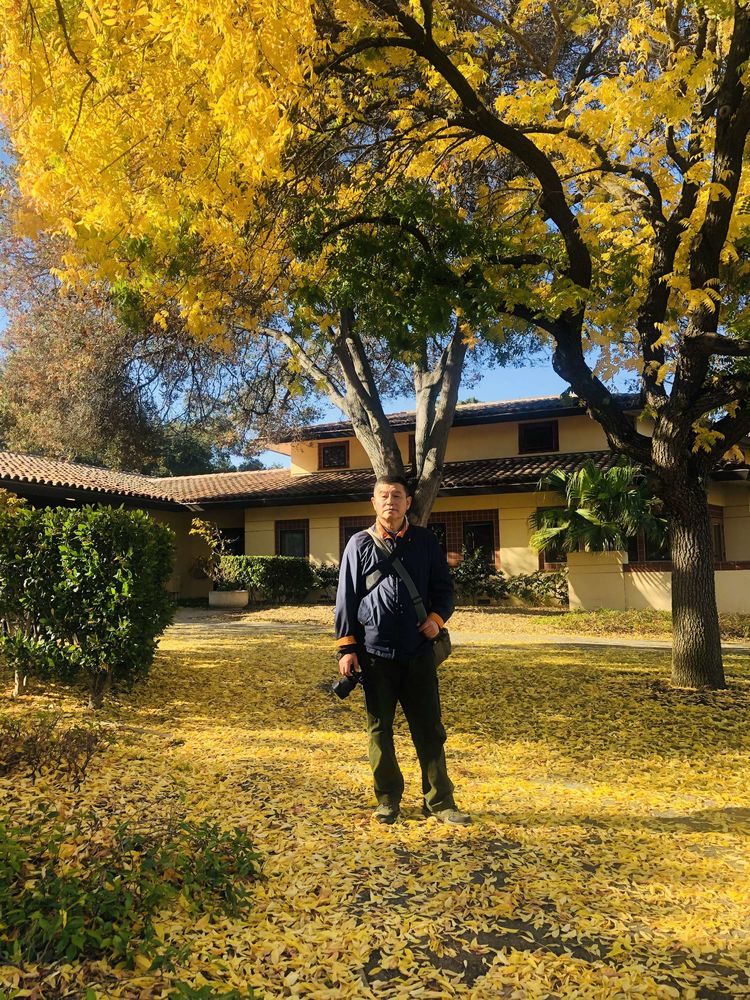 美国德州西部自由行,美国西海岸可以自由航行么