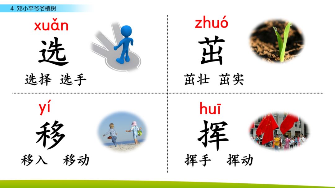 部编版二年级下册语文第4课《*小平邓**爷爷植树》知识点+图文讲解