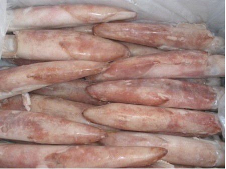 冷库制冷系统安装教程视频,冷库氨气制冷设备原理