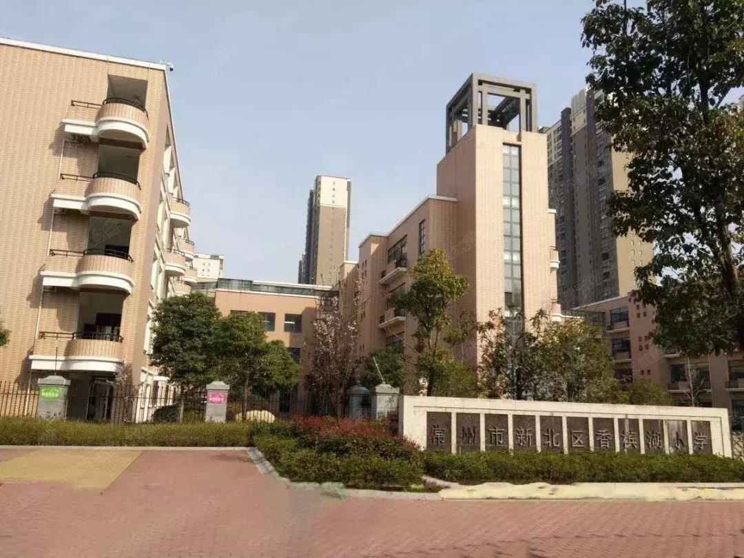 少儿编程校区教学,庐阳区儿童编程学习