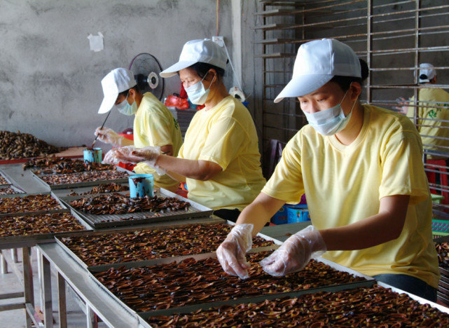 槟榔会致癌到底是不是真的,槟榔致癌是公认的吗