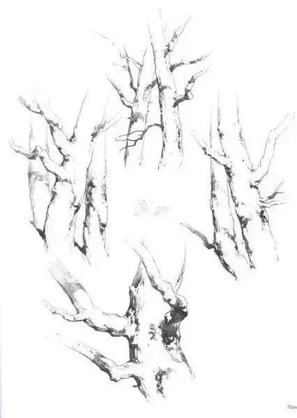 不会画就学别人画,不会画素描写生