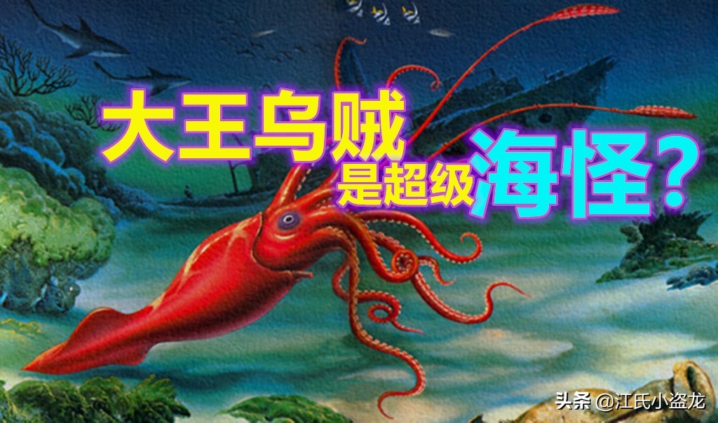 恐怖海怪大王乌贼,只有大王乌贼是海怪吗