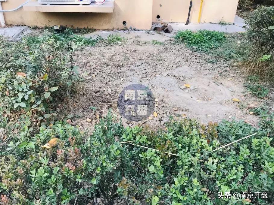 假山里住人！物业不作为，南京超级大盘终于要换物业了