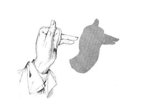 宝宝睡前玩的手影游戏,儿童手脑协调游戏