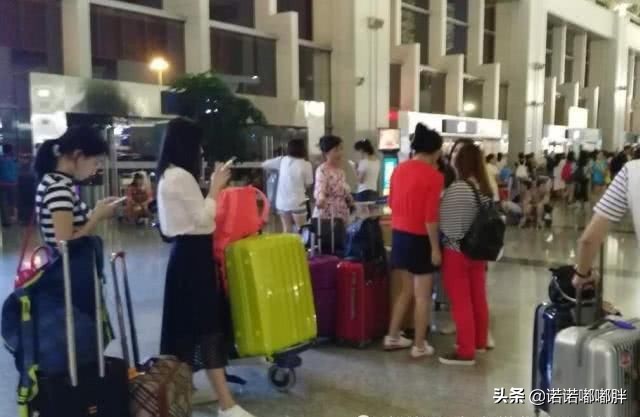 为什么中国人总喜欢行李箱,中国游客为什么喜欢出境游