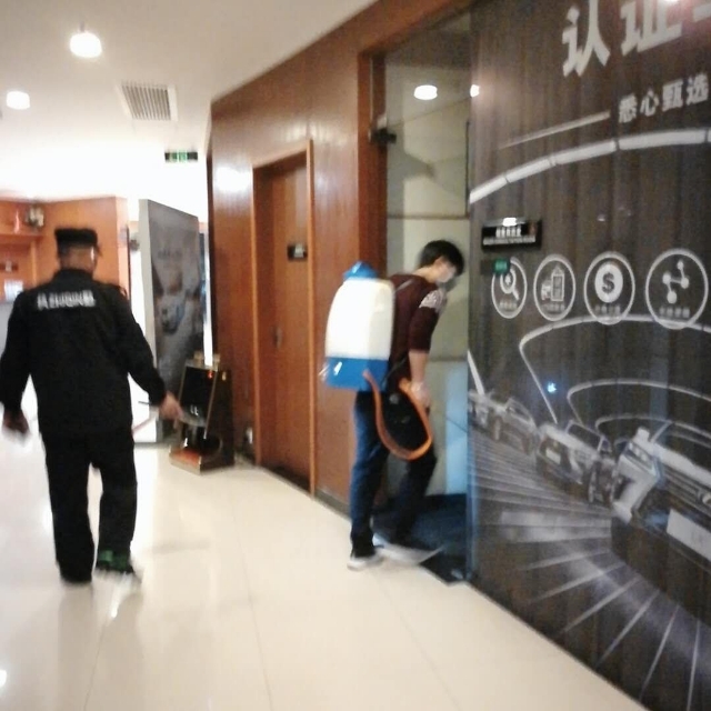 专业灭鼠灭蟑螂杀白蚁哪家强,阜阳专用灭鼠灭蟑螂杀白蚁哪家好