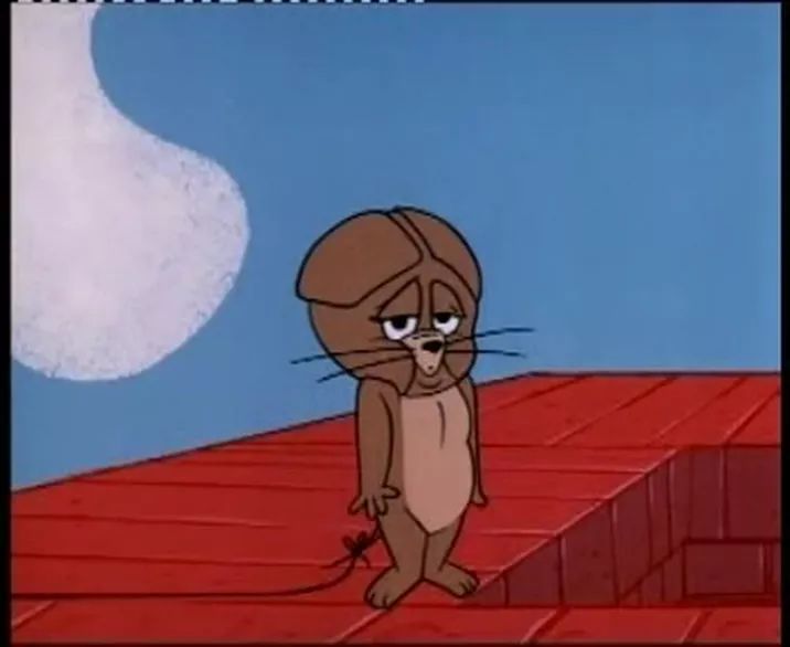 猫和老鼠四川方言版风车车哪里看,猫和老鼠四川风车车