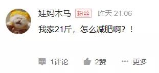 猫咪太肥胖可以节食吗,猫咪吃什么能长胖如何让猫咪长肉