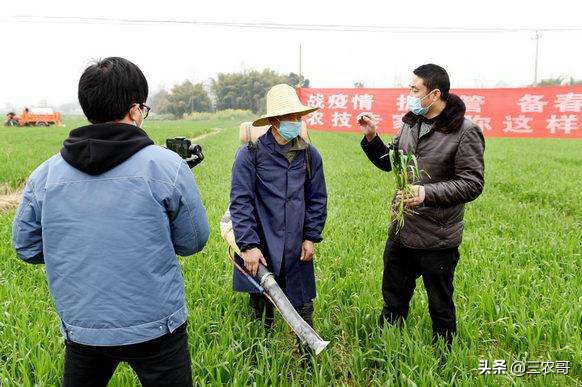 网上买了假货农资怎么办,购买农资怎么避免上当受骗